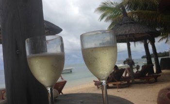 Reisebüro Vetter Touristik Dessau Kochstedt