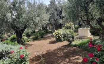 Israël Idoed Reizen