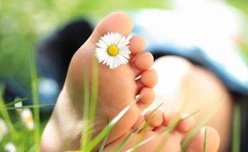 Organiza Viajes Fene