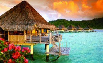 The Travel Directors