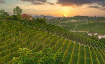 Gabrielle Salvatore Wijn- en culinaire reizen Italië