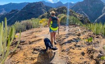 Canary Hiking