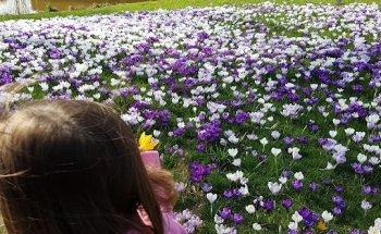 Travel for Professionals