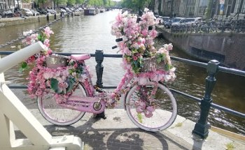 Reisebüro Schumacher