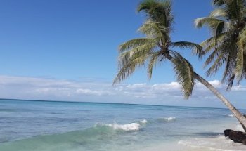 Reizen Dehaene By Zoë & Nelson