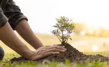 Wagram Voyages - Agence de voyage d'affaires