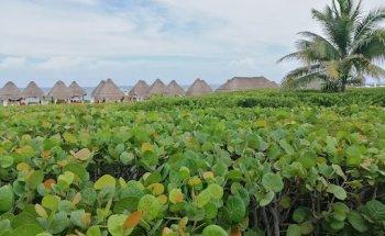 Agencia de Viajes FREIXE TOURS