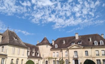 Culture and Wine. Bordeaux Wine Tours