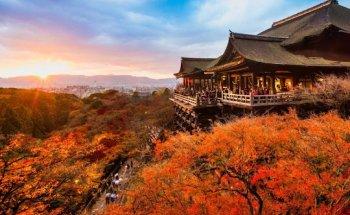 Descubriendo Japón Viajes