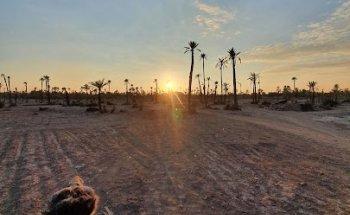 Nezbell Agencia De Viajes