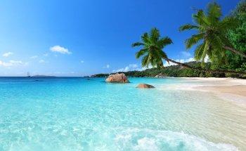 Grupo Viajes Virginia