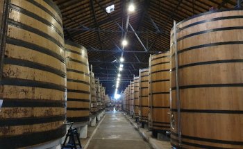 Real Companhia Velha-agência De Viagens E Turismo Lda.