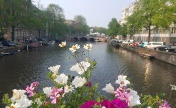 Viajesconcristina.com