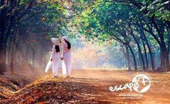 Escapa't - Agencia de viajes y eventos