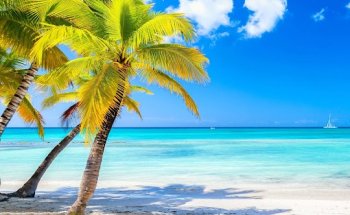 Auchan voyages Faches