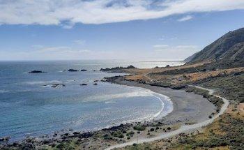 Zozo Travel - Tours of Wellington. Scenic, Winery, Brewery and Foodie Tours