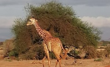 Reisebüro Sandra Hüter