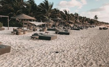 solamento Reiseagentur Reisedschungel