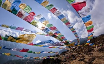 Panorama Cruise & Travel