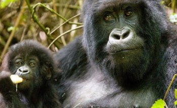 Let's go Tours | Reiseveranstalter