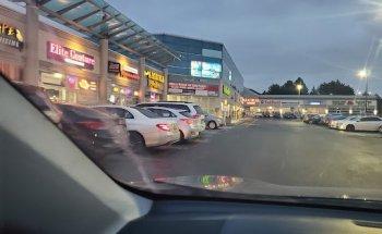 Gill International Travel