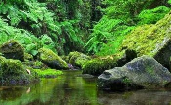 CHECK-IN individuelle Flugreisen GmbH