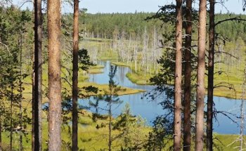 Pieper Erlebnisreisen