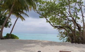 Reisebüro Will GmbH