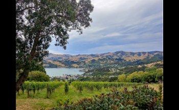 The Travel Agent Next Door - Marie-Therese Nyman