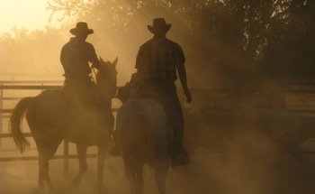 Perlan / Vakantie te paard