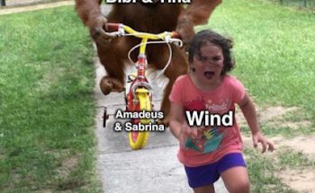 Reisen nach Delmenhorst