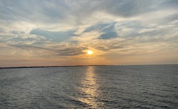 Reisebüro Bornebusch-Reisen e.K.