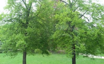 Christian Reisen Inh. Krzysztof Pawelczyk