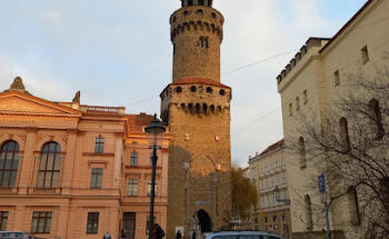 SenfkornReisen Görlitz