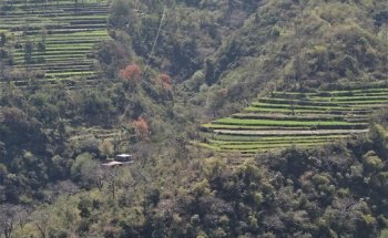 Culture Air Travel S.A.