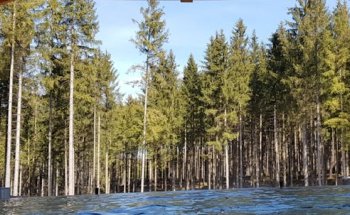 Ferienpark-Leutkirch.de | Center Parcs Allgäu Reiseportal