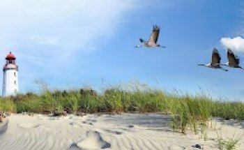 Zugvogel Reisen GmbH