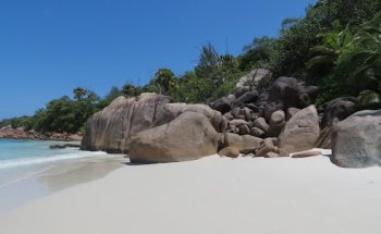 Reisebüro FOX-TOURS GmbH