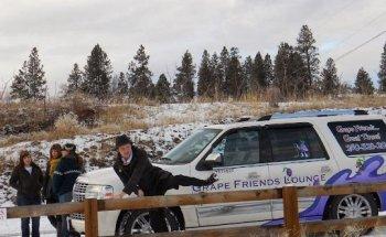 Grape Friends Lounge & Tours Inc.