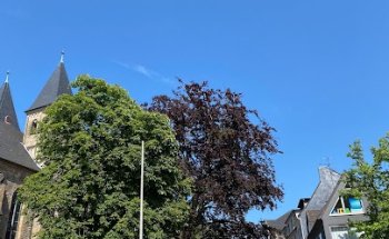 Reisezentrum Tonnaer