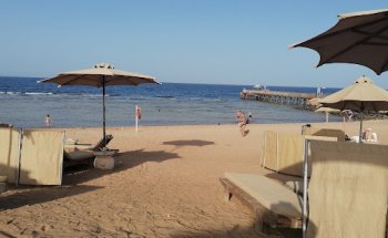 Reisebüro Stern TUI Reisecenter