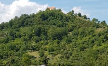 Pioneer Erlebnisreisen GmbH