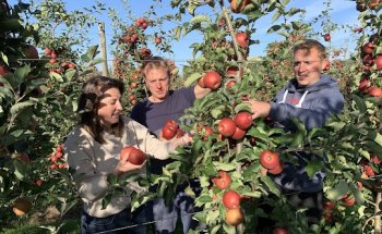 Corso bv (Corso sap)