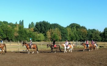 De Ponyhoeve Turnhout vzw