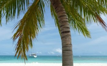 Dettinger Reisebüro * Karibik & more