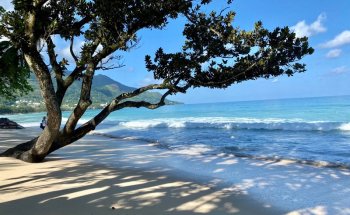 TUI TRAVELStar Rottenburg | Reisebüro & Flugcenter