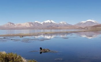 Raices Andinas Expediciones y Turismo