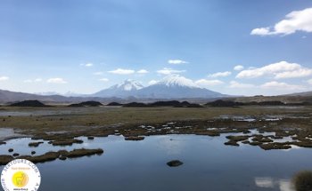 Tour Operator sertours.com