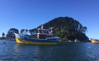 Agencia de turismo Ruta Livet