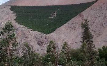 Turismo Luna Magica Limitada